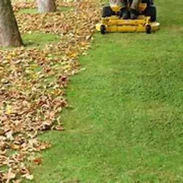 Expert lawn care